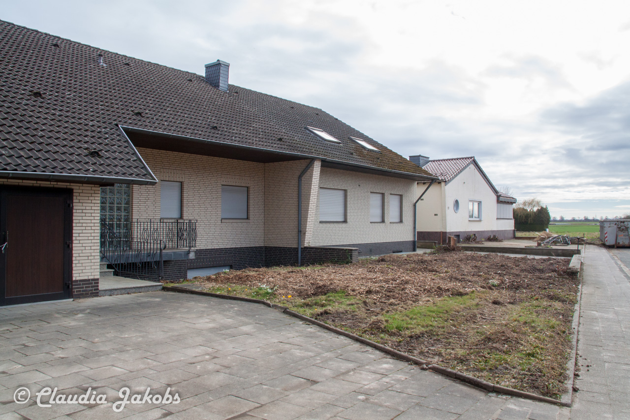 20170226135948 IMG 5047