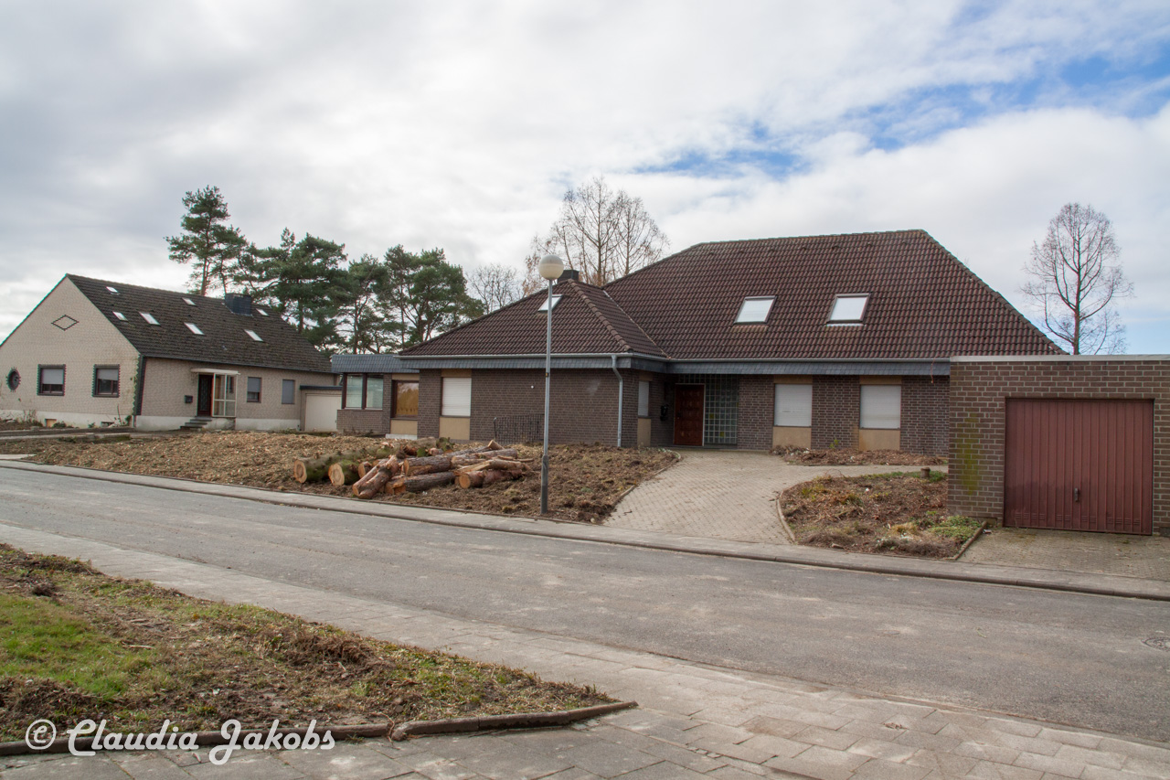 20170226140001 IMG 5048