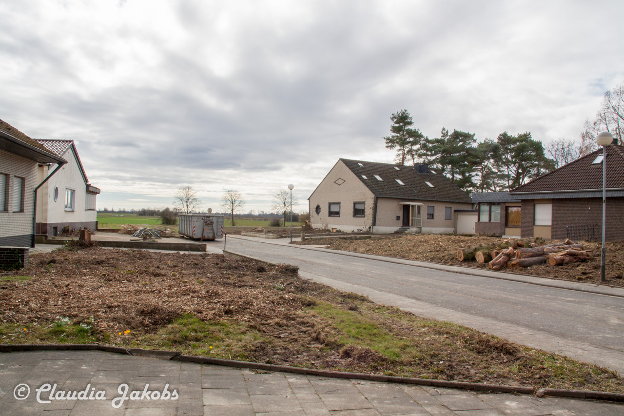 20170226140005 IMG 5049