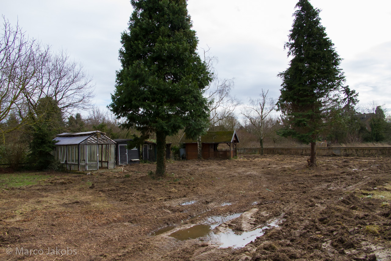 20170226140048 MJ  5208