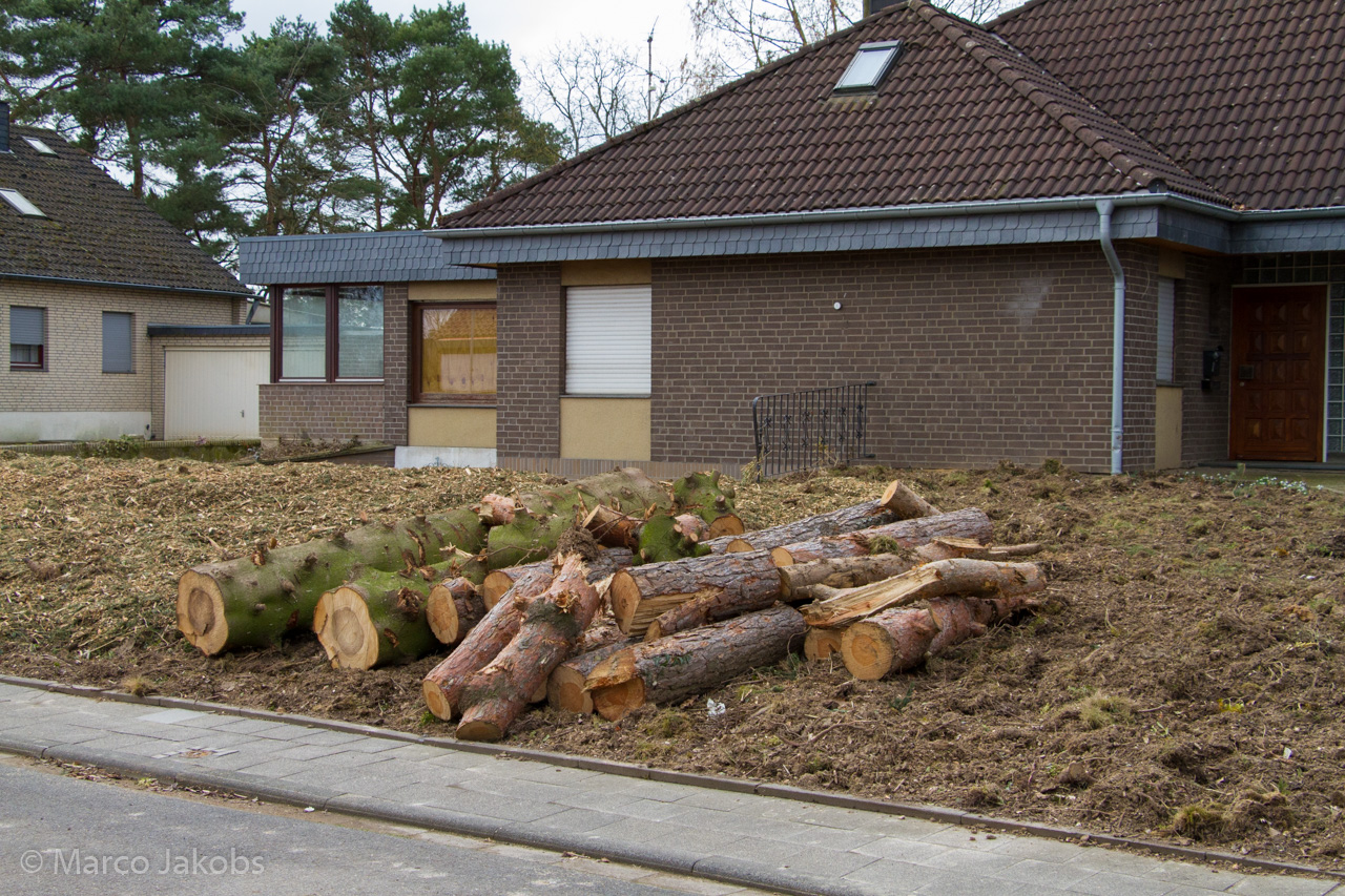 20170226140237 MJ  5213