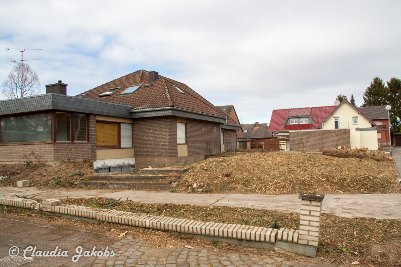 20170226140351 IMG 5060