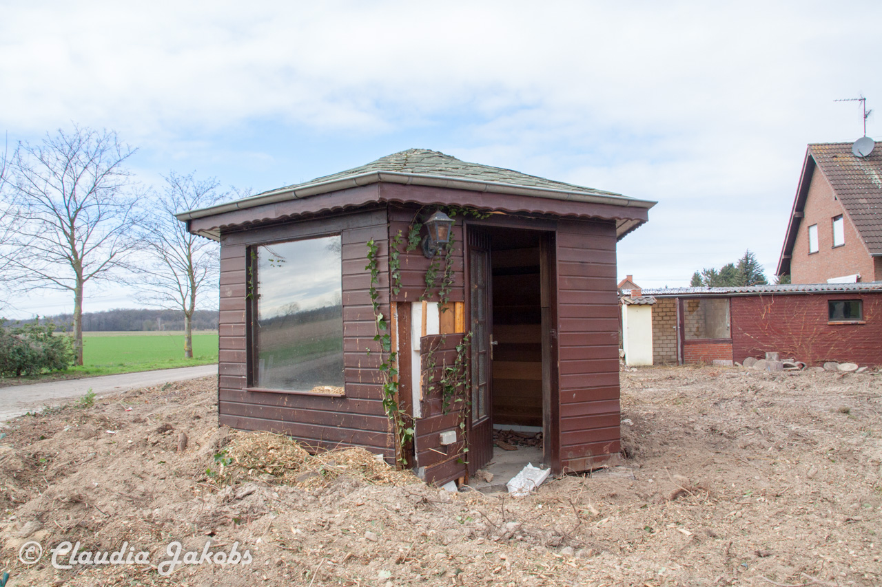 20170226140912 IMG 5065