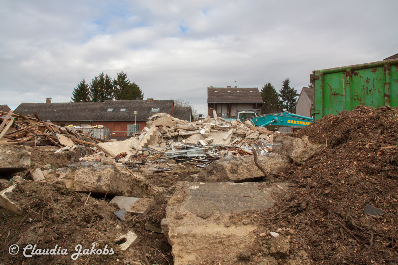 20170226141102 IMG 5073