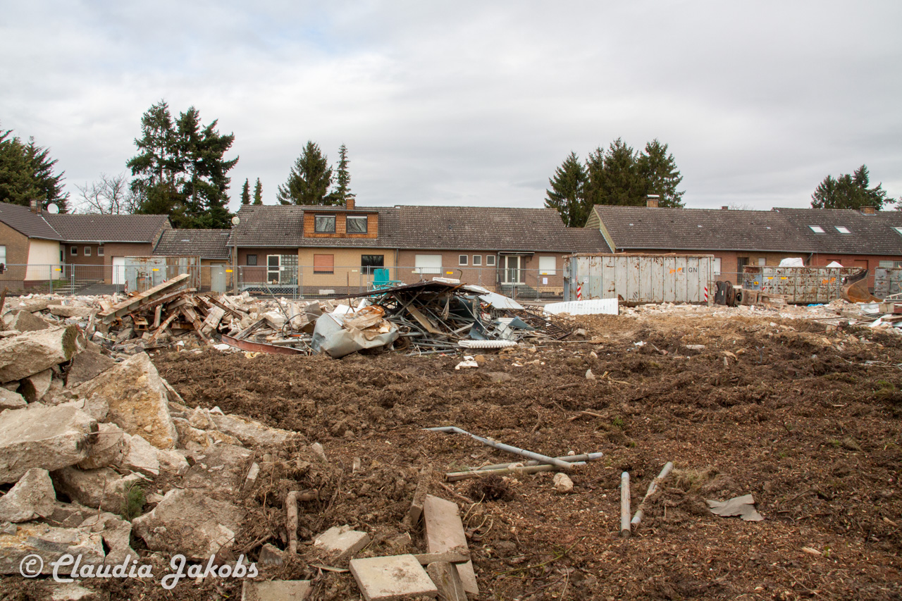 20170226141305 IMG 5081