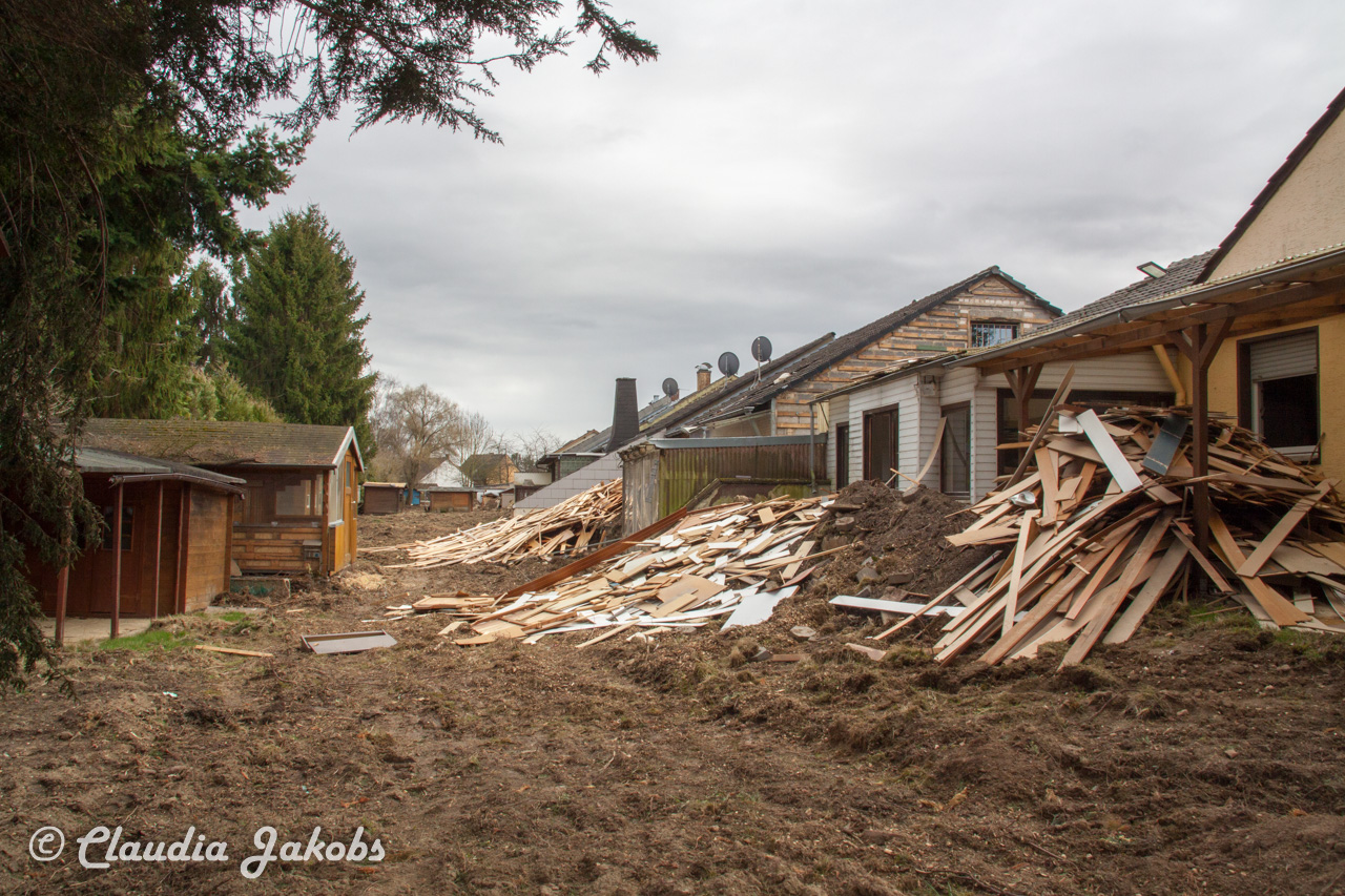 20170226143531 IMG 5098