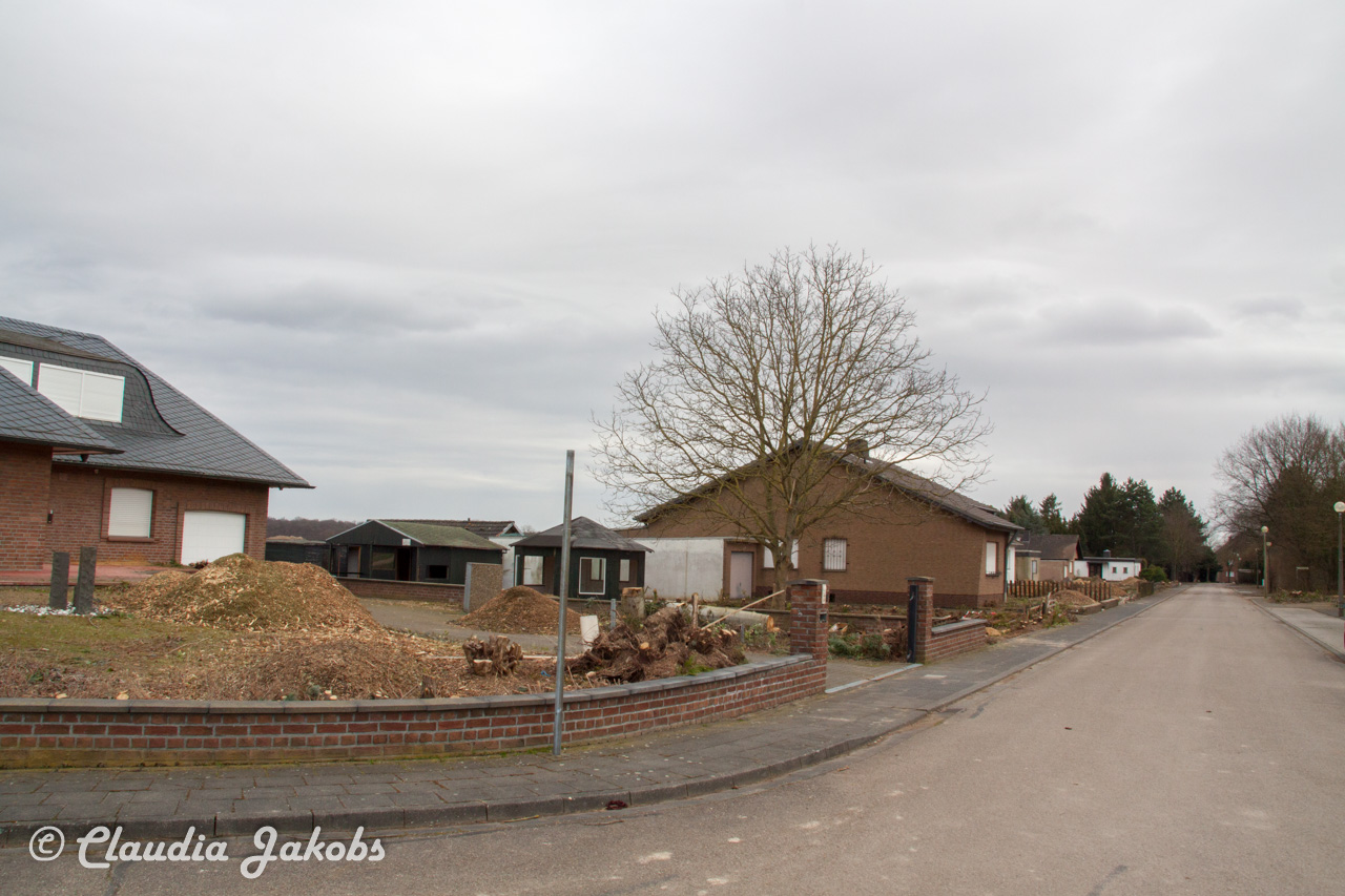 20170226144134 IMG 5102