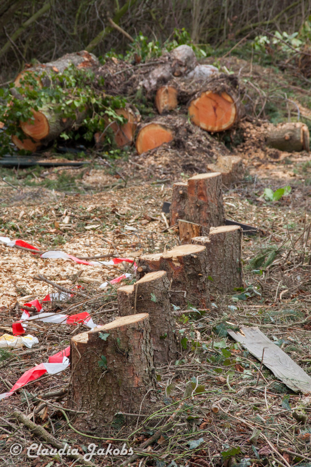 20170226144200 IMG 5103