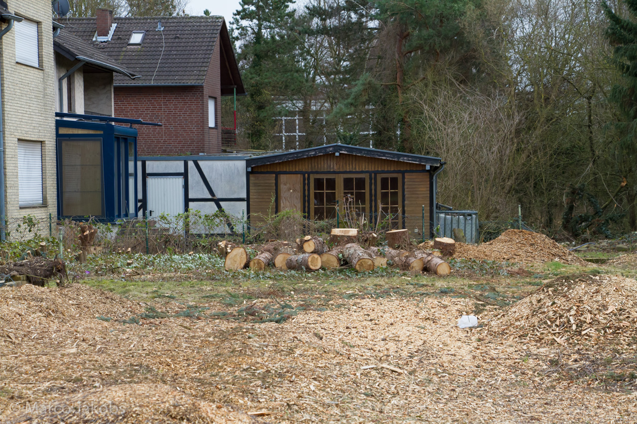 20170226144214 MJ  5249