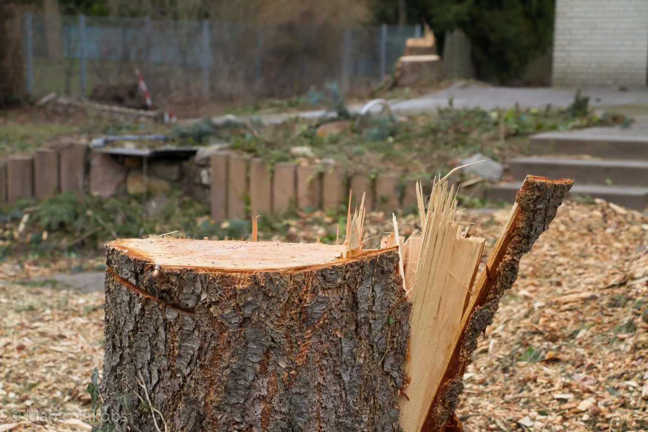 20170226144241 MJ  5250