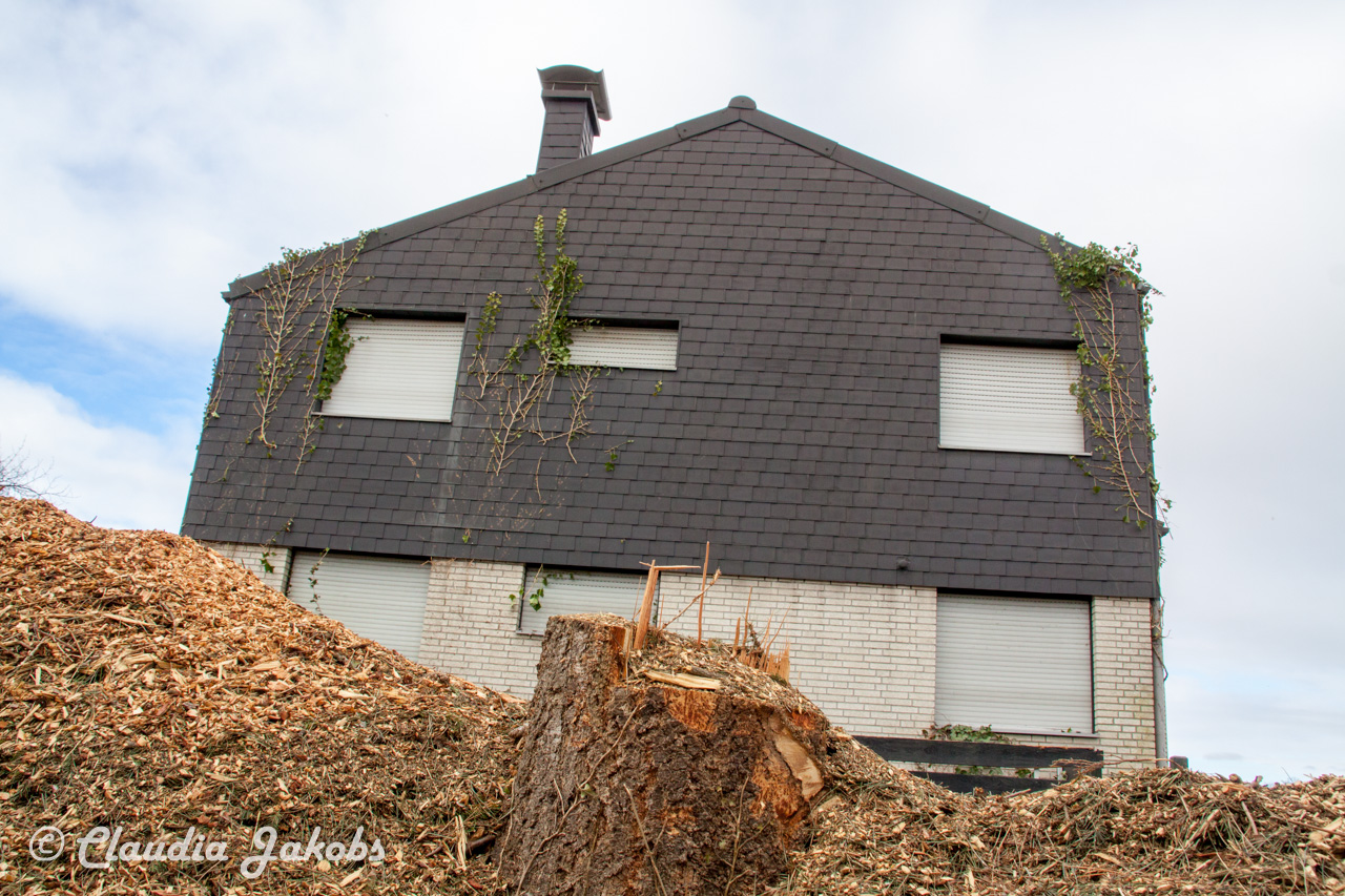 20170226144255 IMG 5107