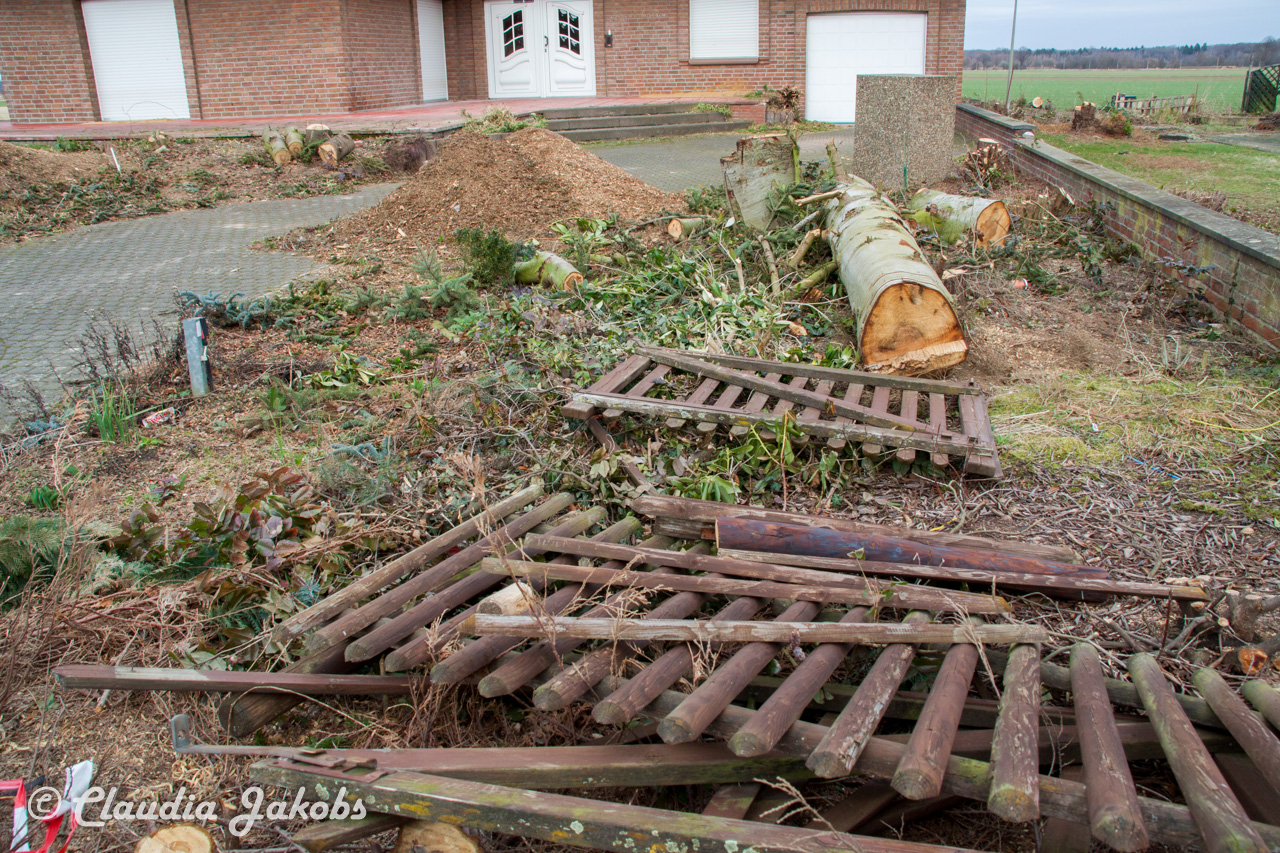 20170226144503 IMG 5112