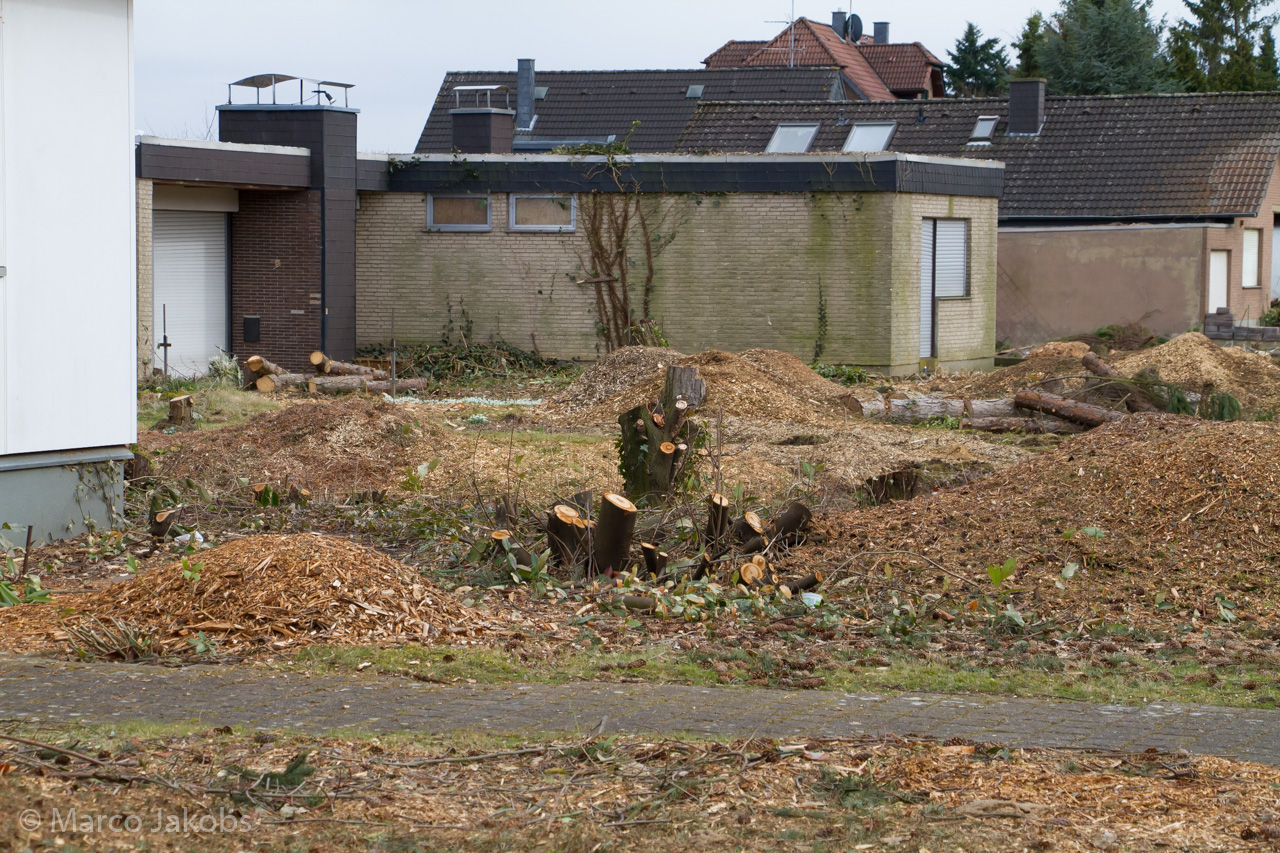 20170226144536 MJ  5256