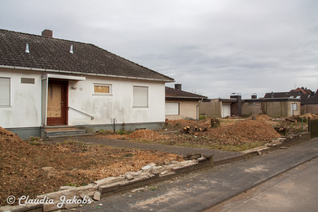 20170226144622 IMG 5119