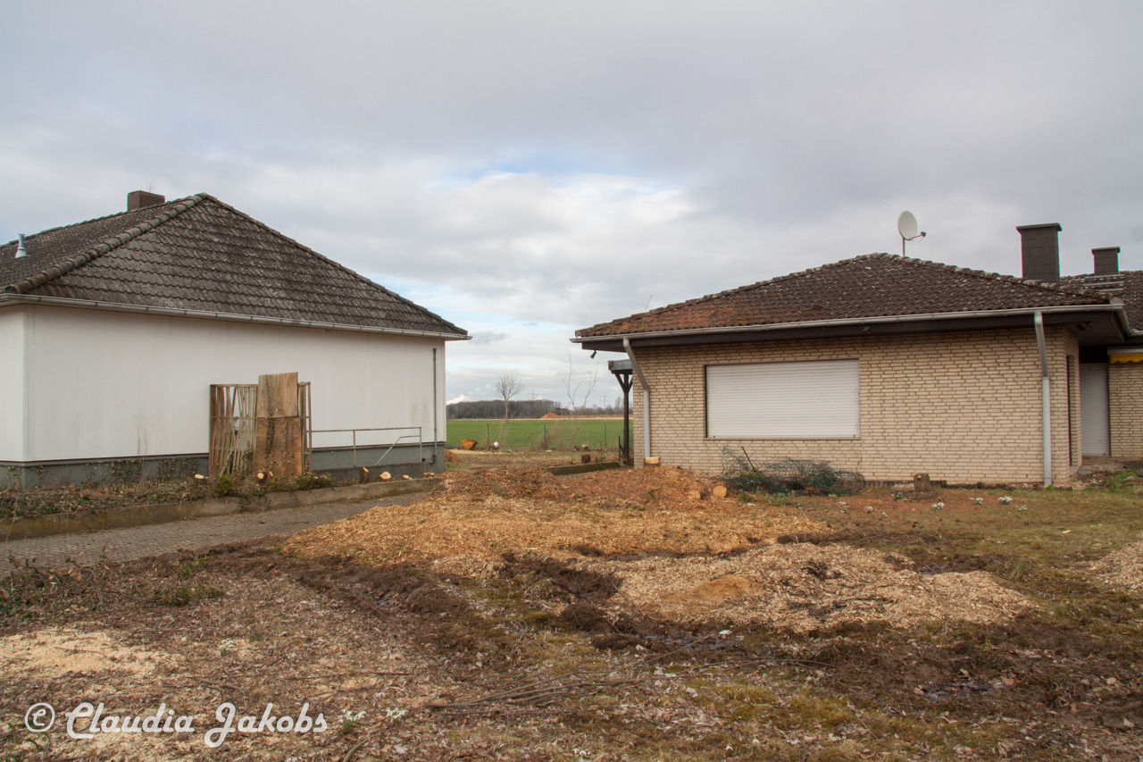 20170226144713 IMG 5122