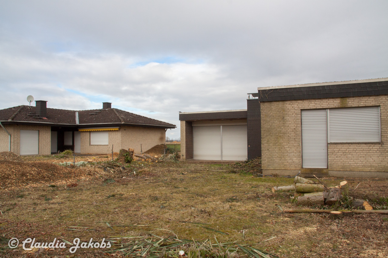 20170226144755 IMG 5125