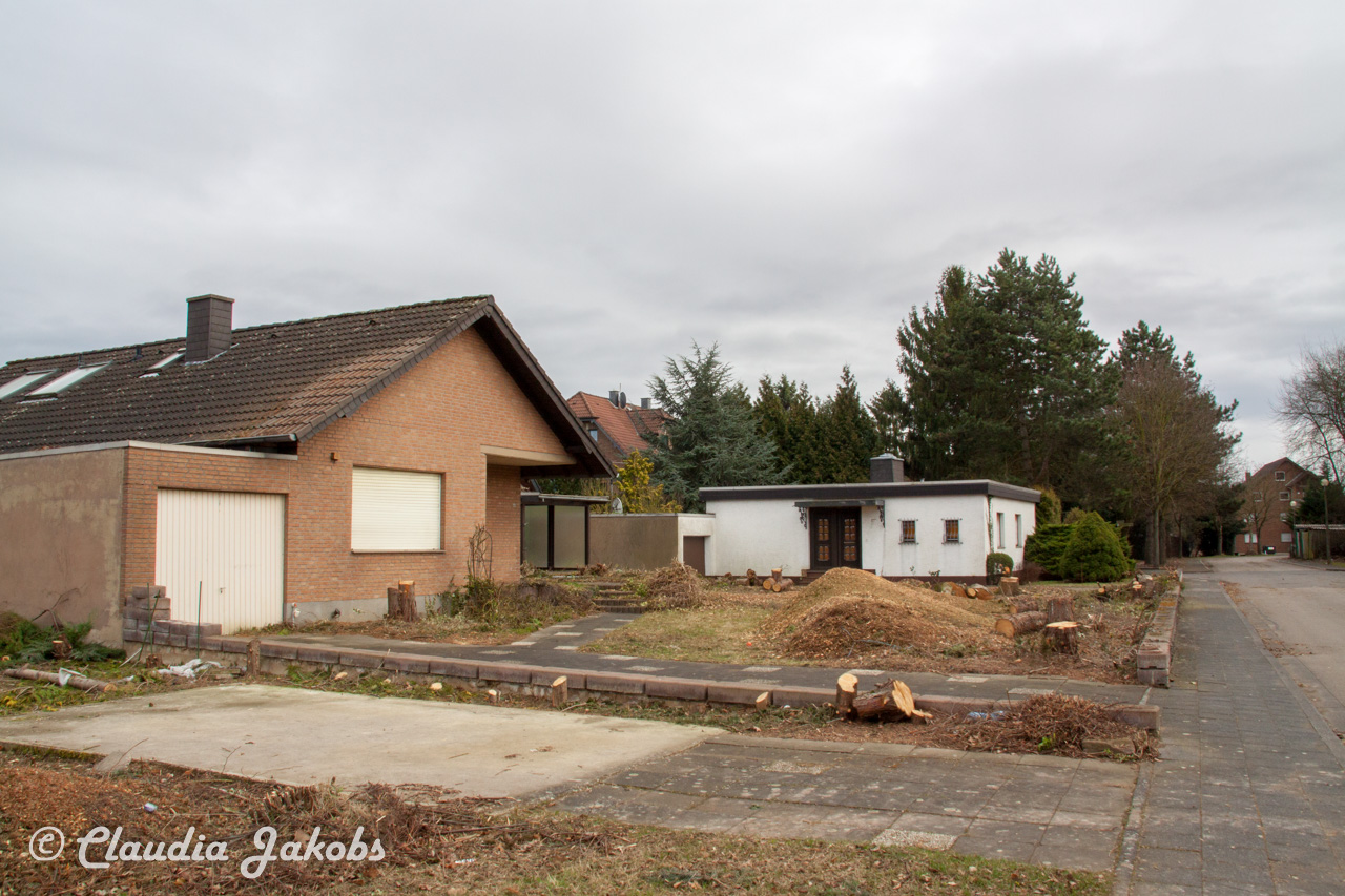 20170226144828 IMG 5127