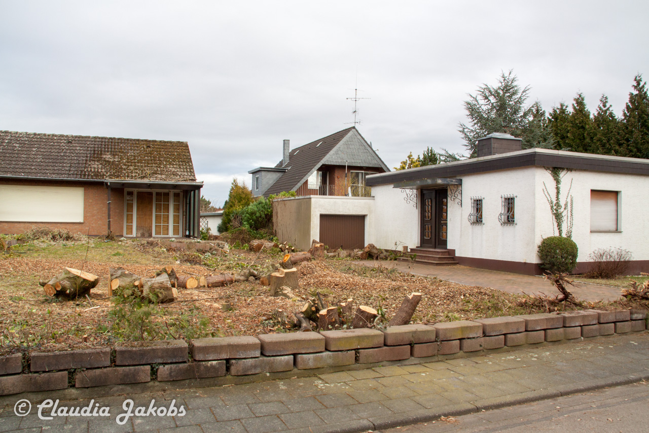 20170226144900 IMG 5128