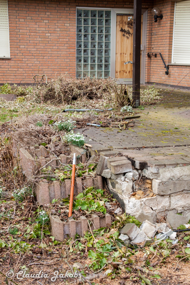 20170226144937 IMG 5130