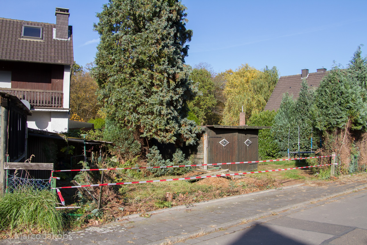 20171101130838 MJ  5791