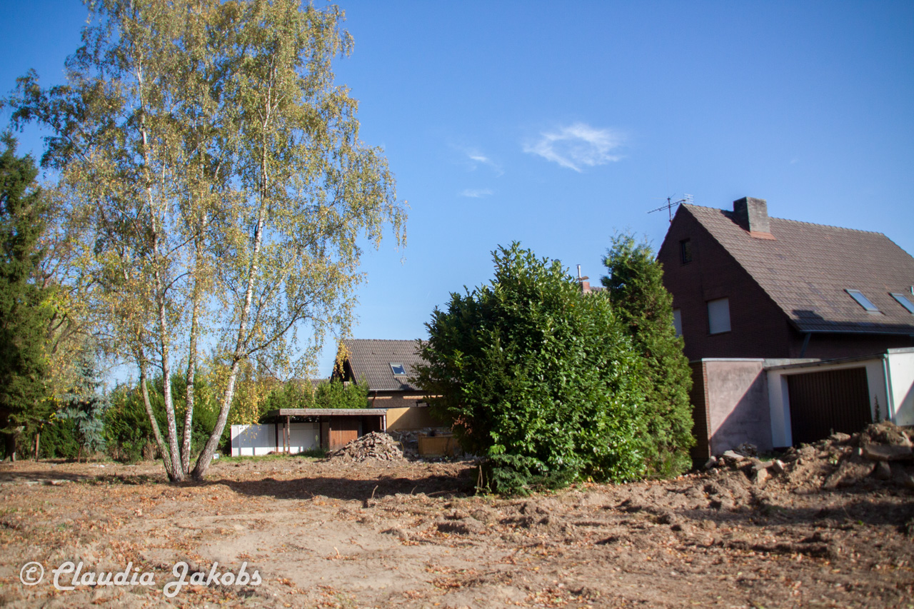 20171101131216 IMG 9491