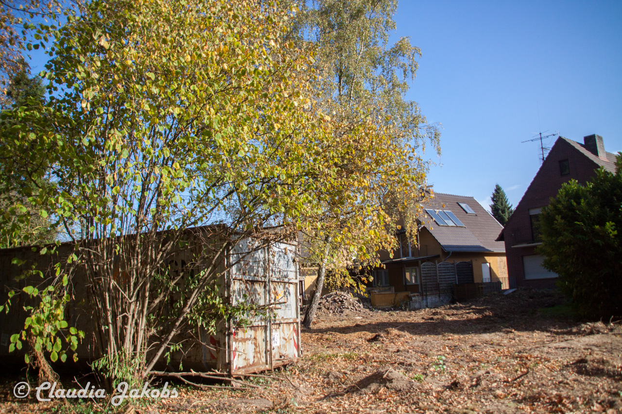 20171101131242 IMG 9492