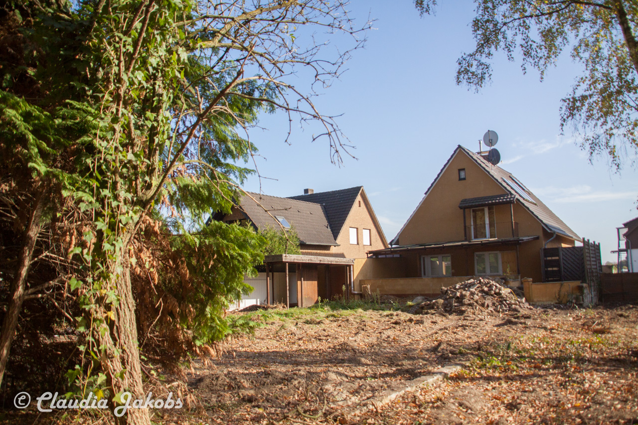 20171101131347 IMG 9494