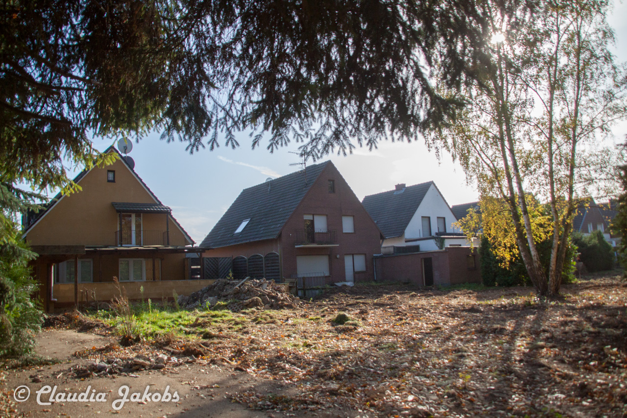 20171101131436 IMG 9496