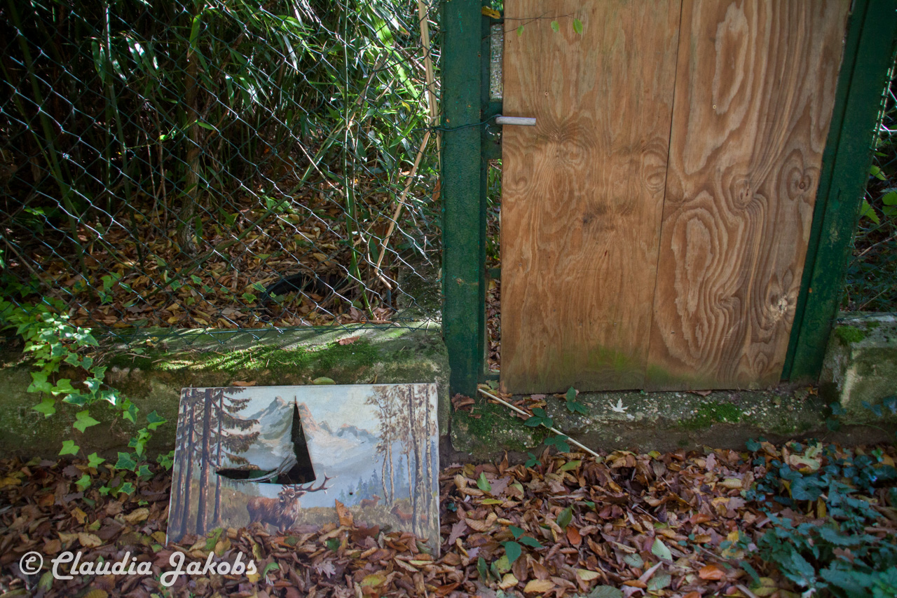 20171101131658 IMG 9500