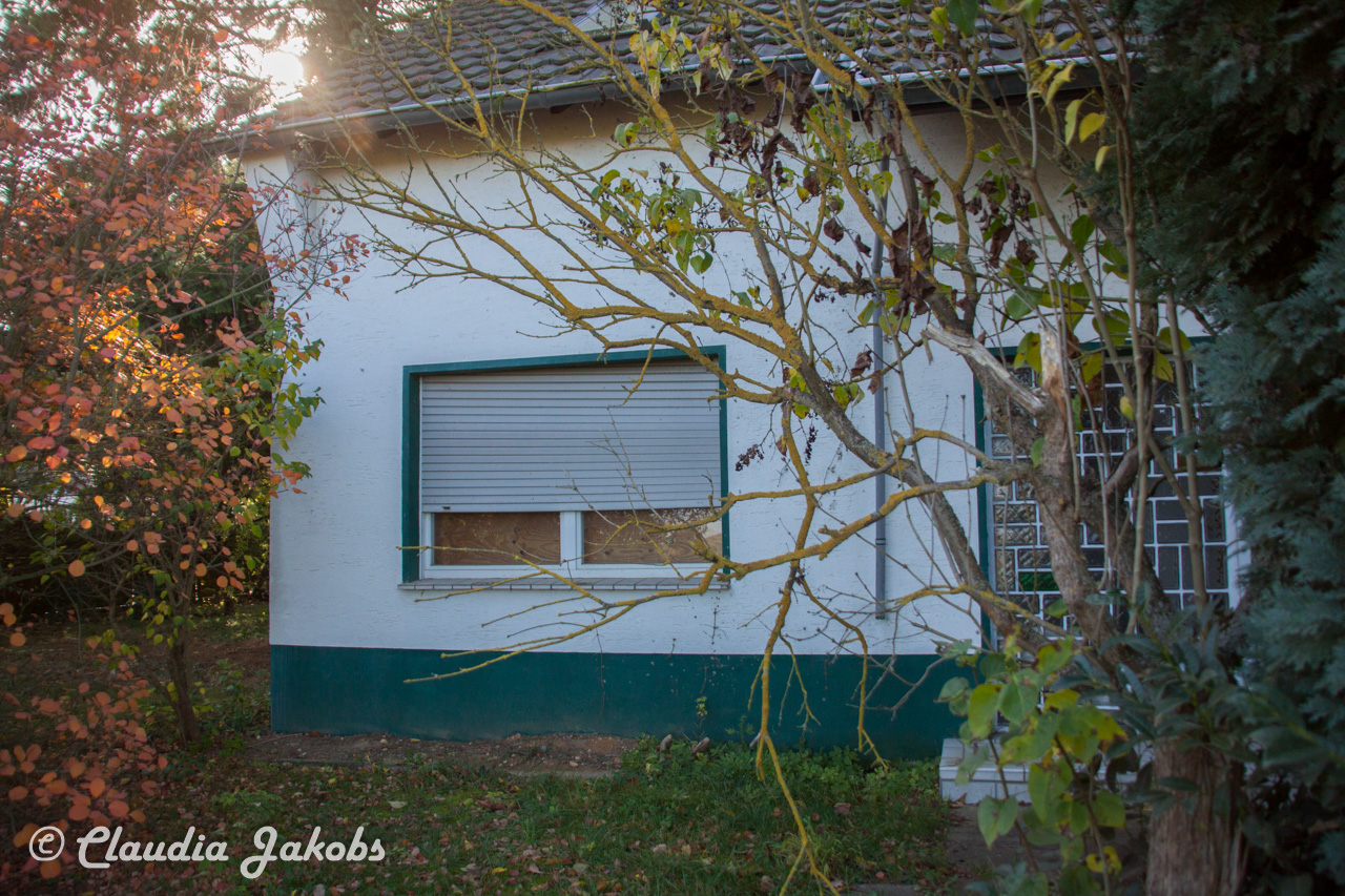 20171101131826 IMG 9502