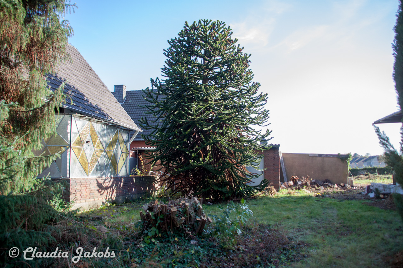 20171101132253 IMG 9510