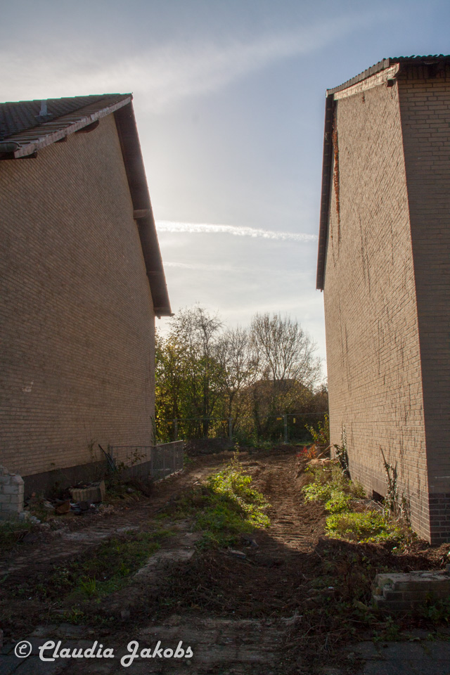 20171101133620 IMG 9534