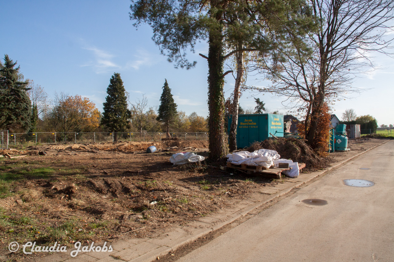 20171101134651 IMG 9556