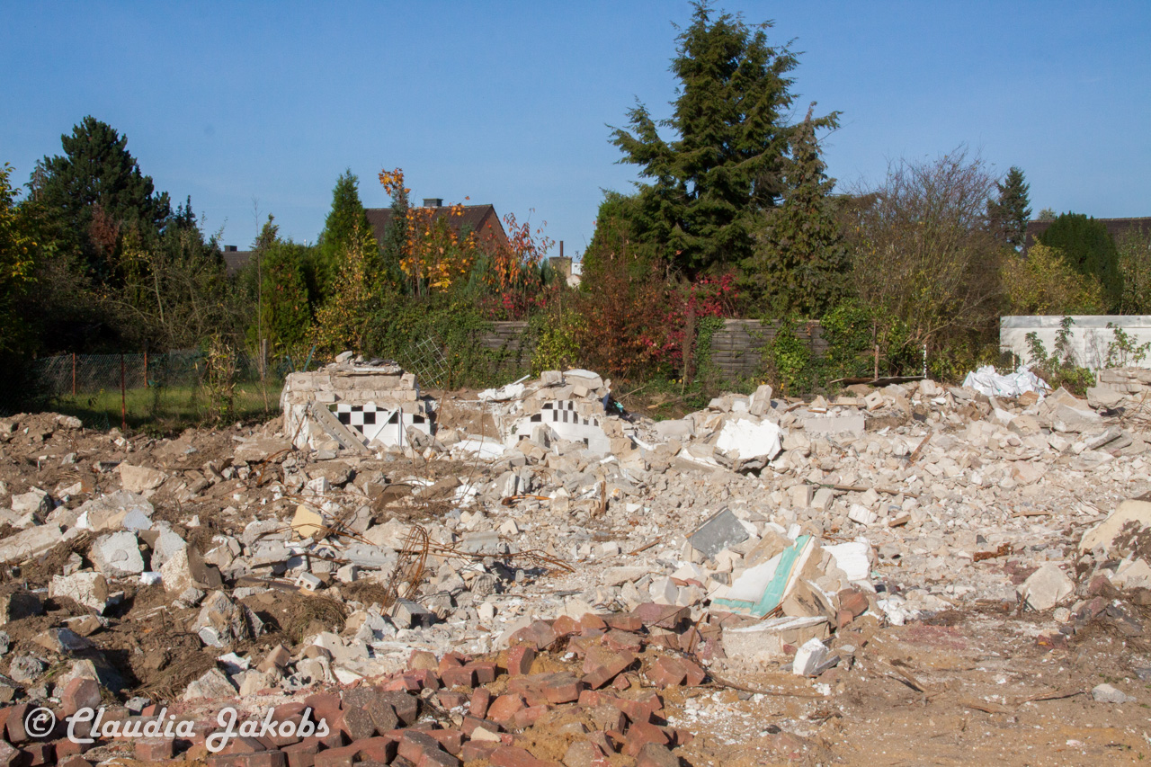 20171101134858 IMG 9560