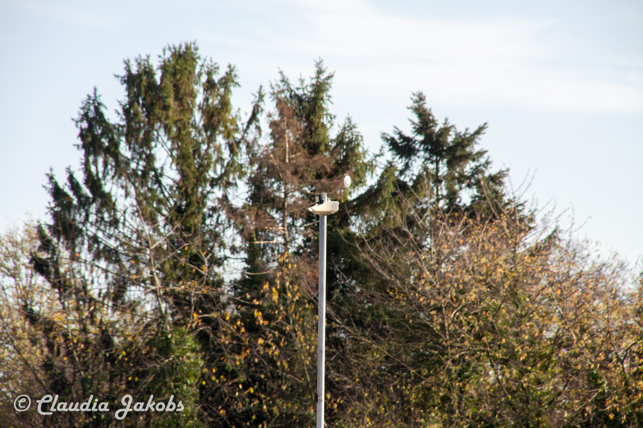 20171101135150 IMG 9565