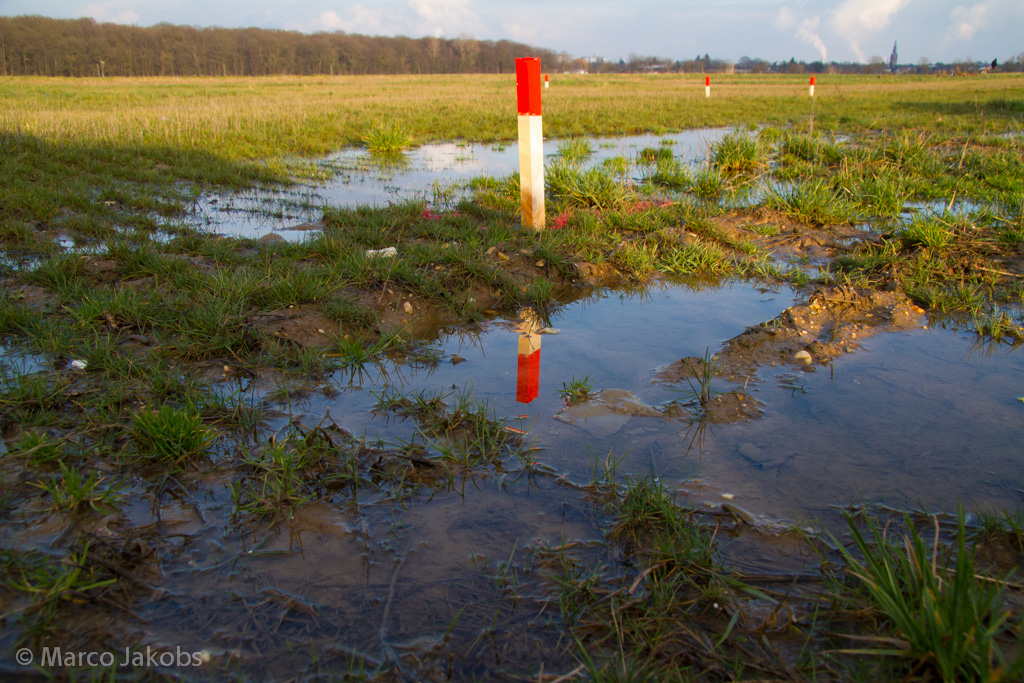 130209171445 MJ  0017