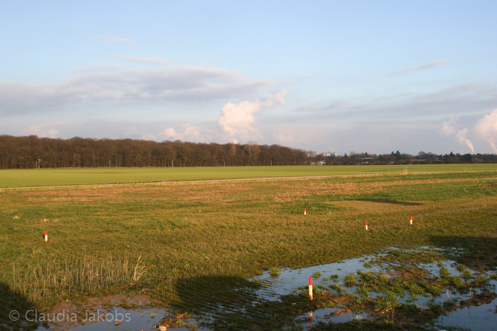 130209172121 IMG 4344