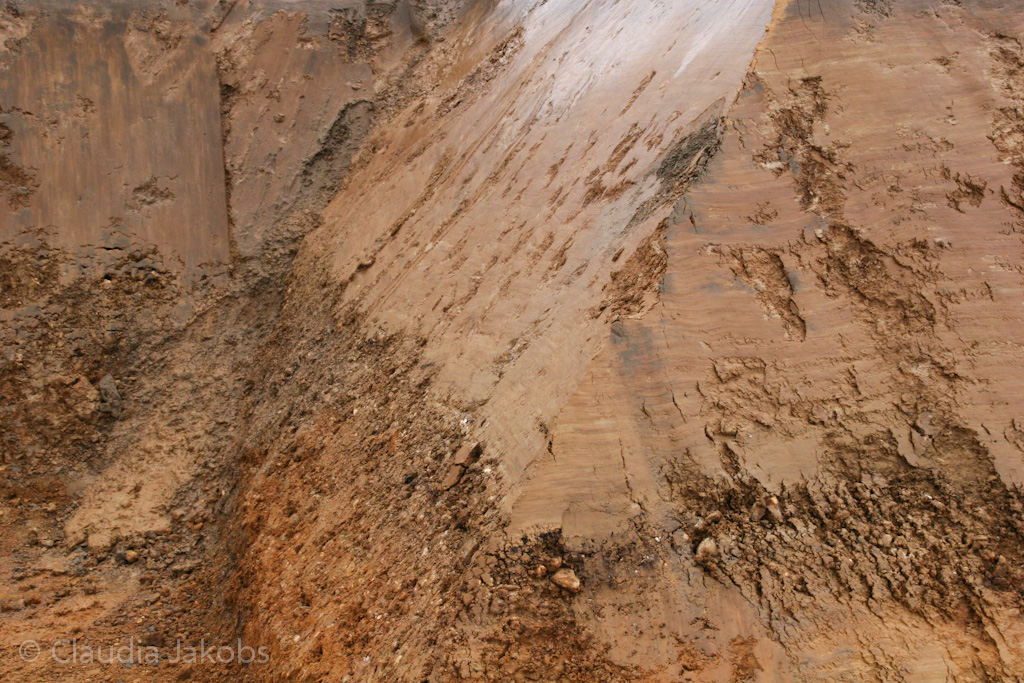 130216130805 IMG 4698