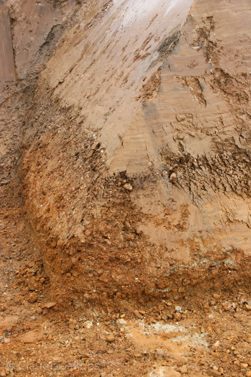 130216130812 IMG 4699