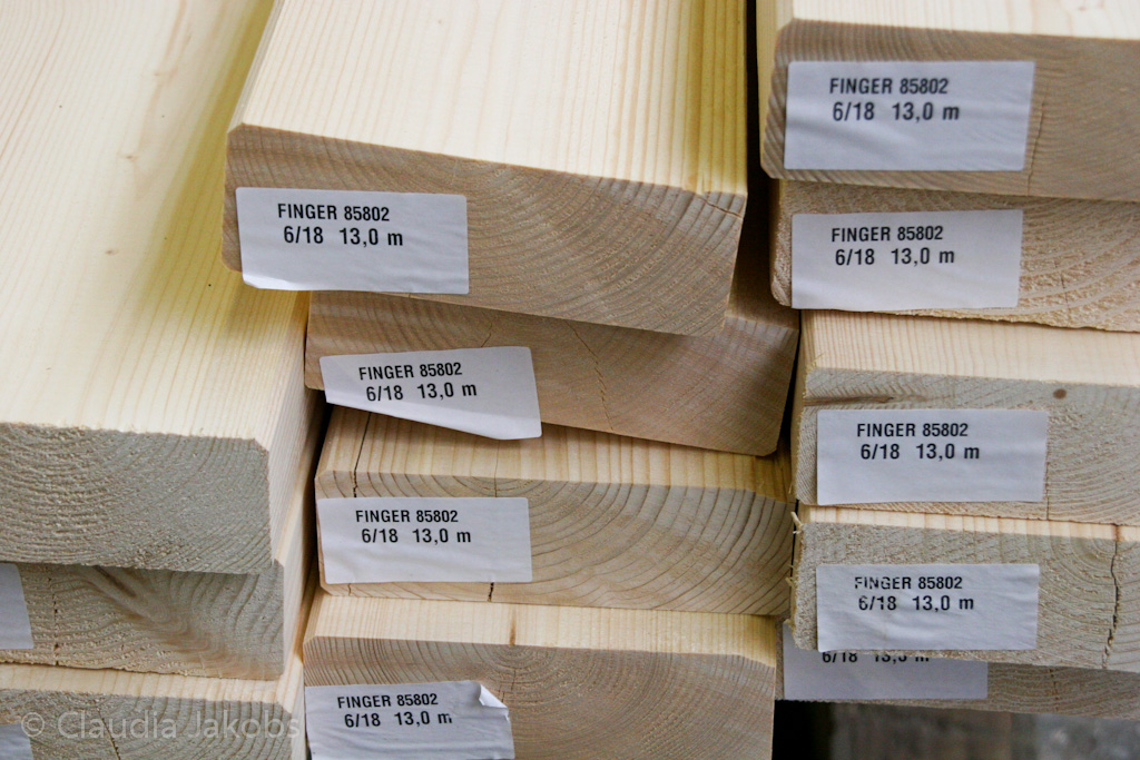 120128112028 IMG 1223