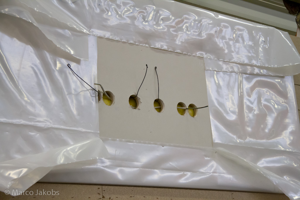 120128123908 IMG 6921