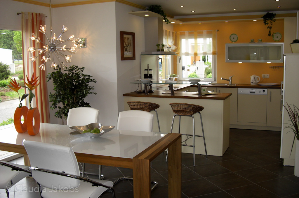 110522124530 CIMG1991