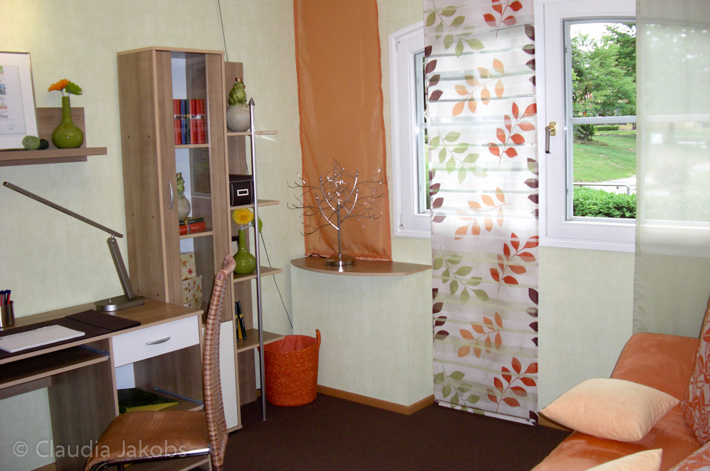 110522135924 CIMG2088