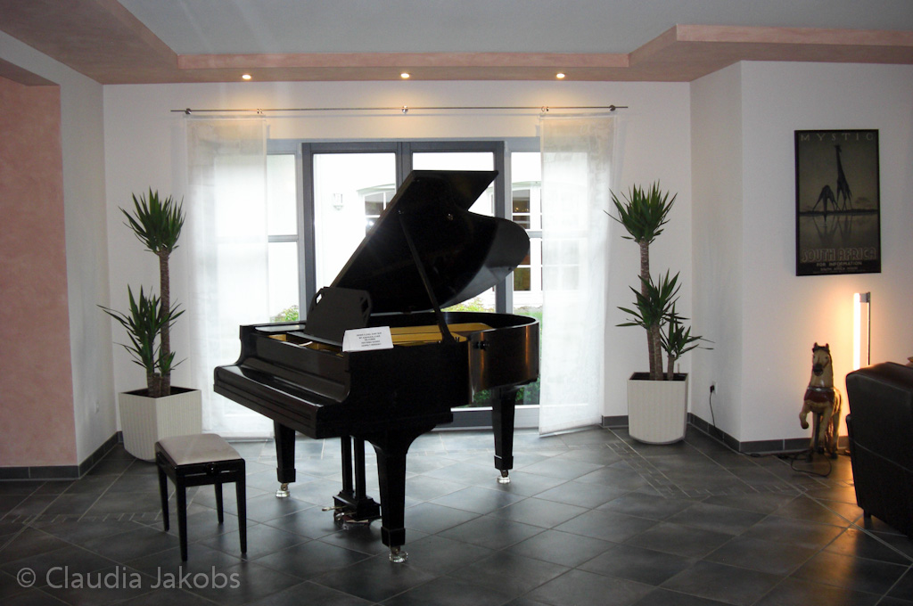 110522140207 CIMG2093