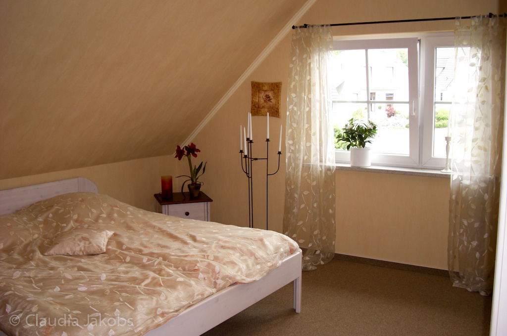 110522145826 CIMG2130