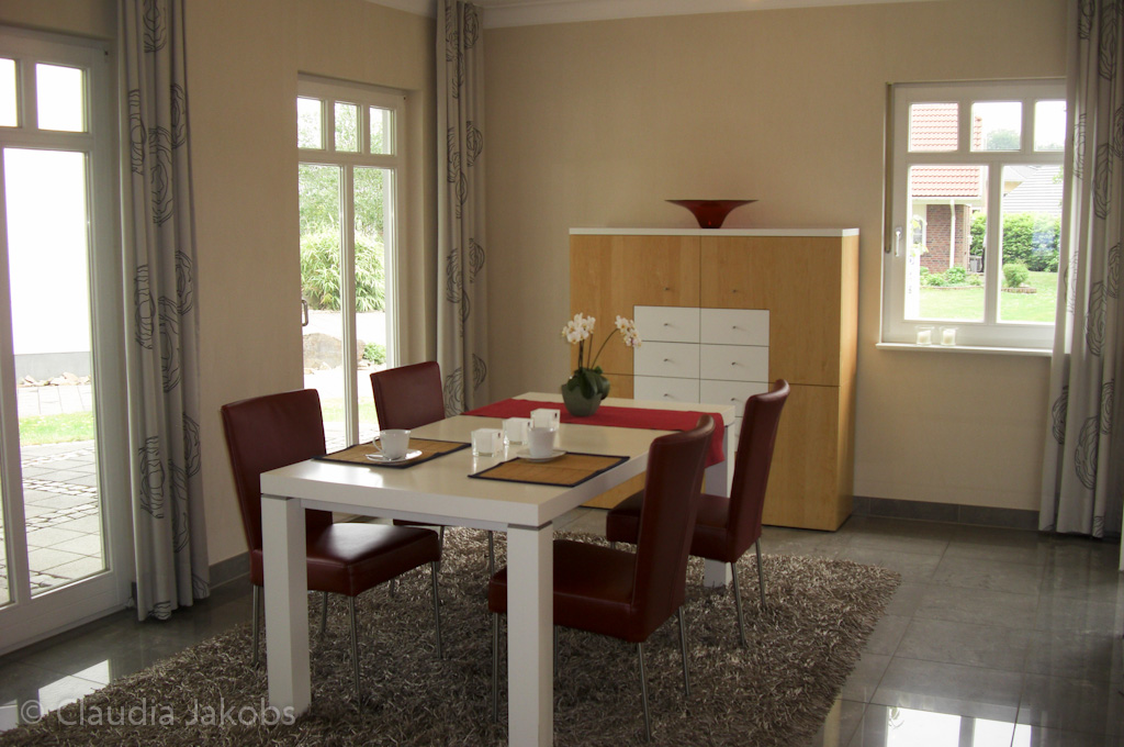 110522151256 CIMG2154