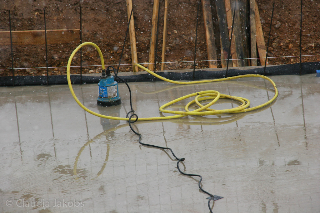 130225135619 IMG 4866