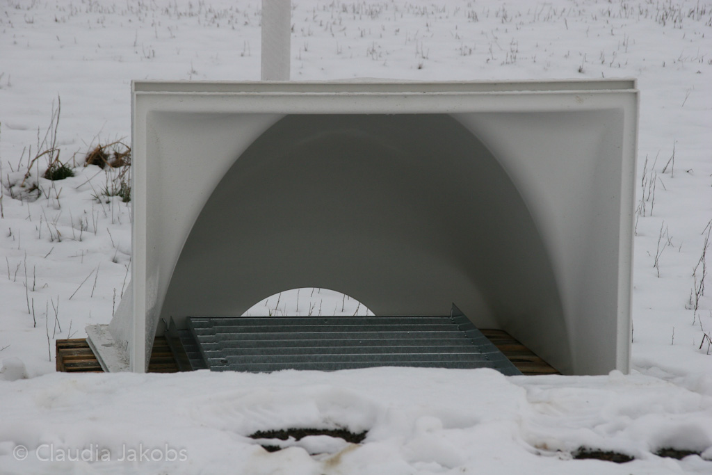 130226093856 IMG 4937