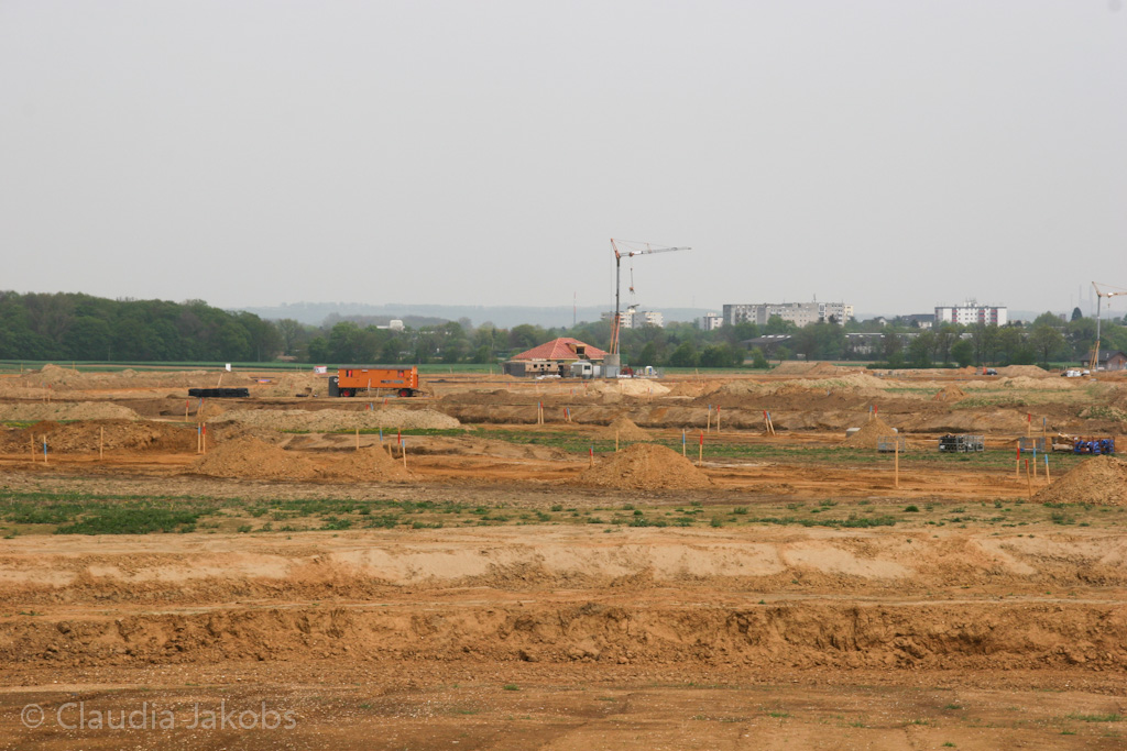 120429133009 IMG 2061