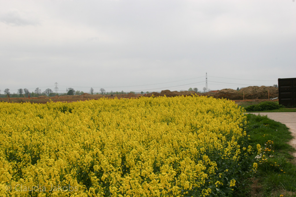 120429133940 IMG 2066